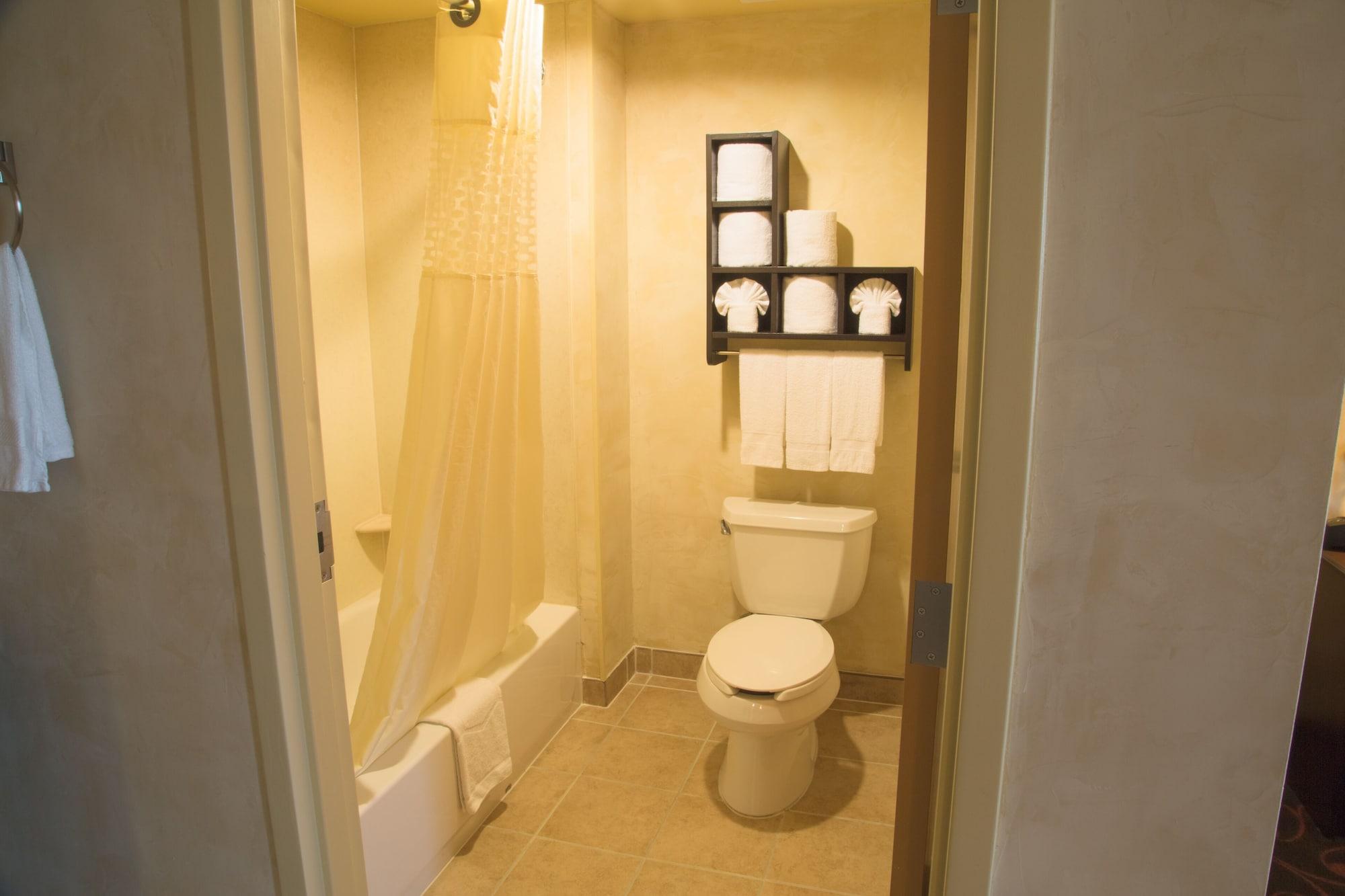 Hampton Inn & Suites Dallas-Arlington North-Entertainment District Buitenkant foto