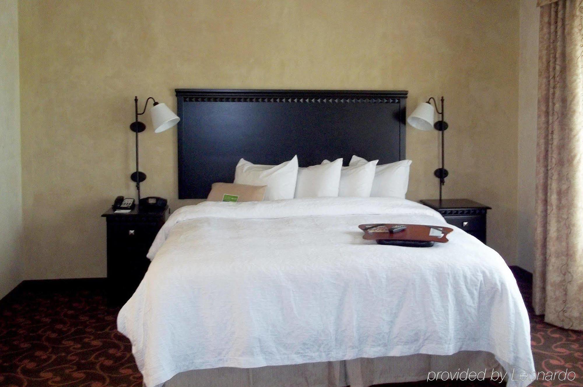 Hampton Inn & Suites Dallas-Arlington North-Entertainment District Kamer foto
